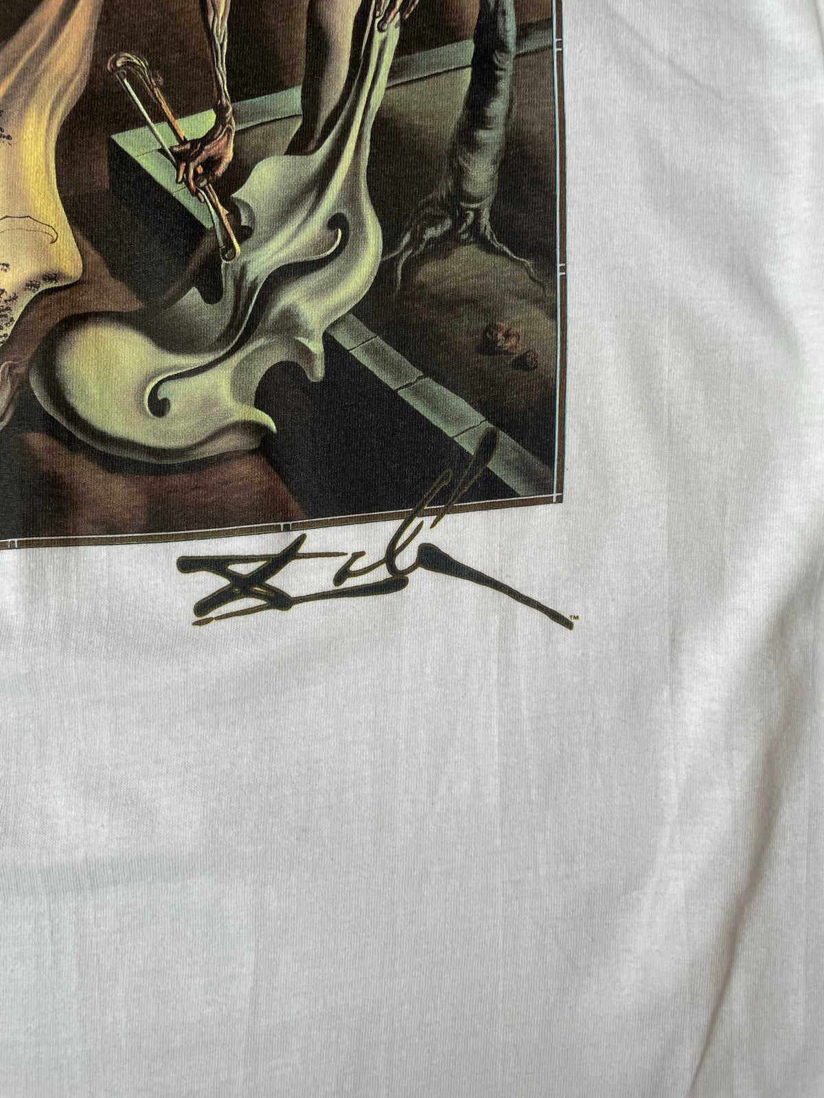 90's「夜のメクラグモ、希望」USA製 アートTシャツ