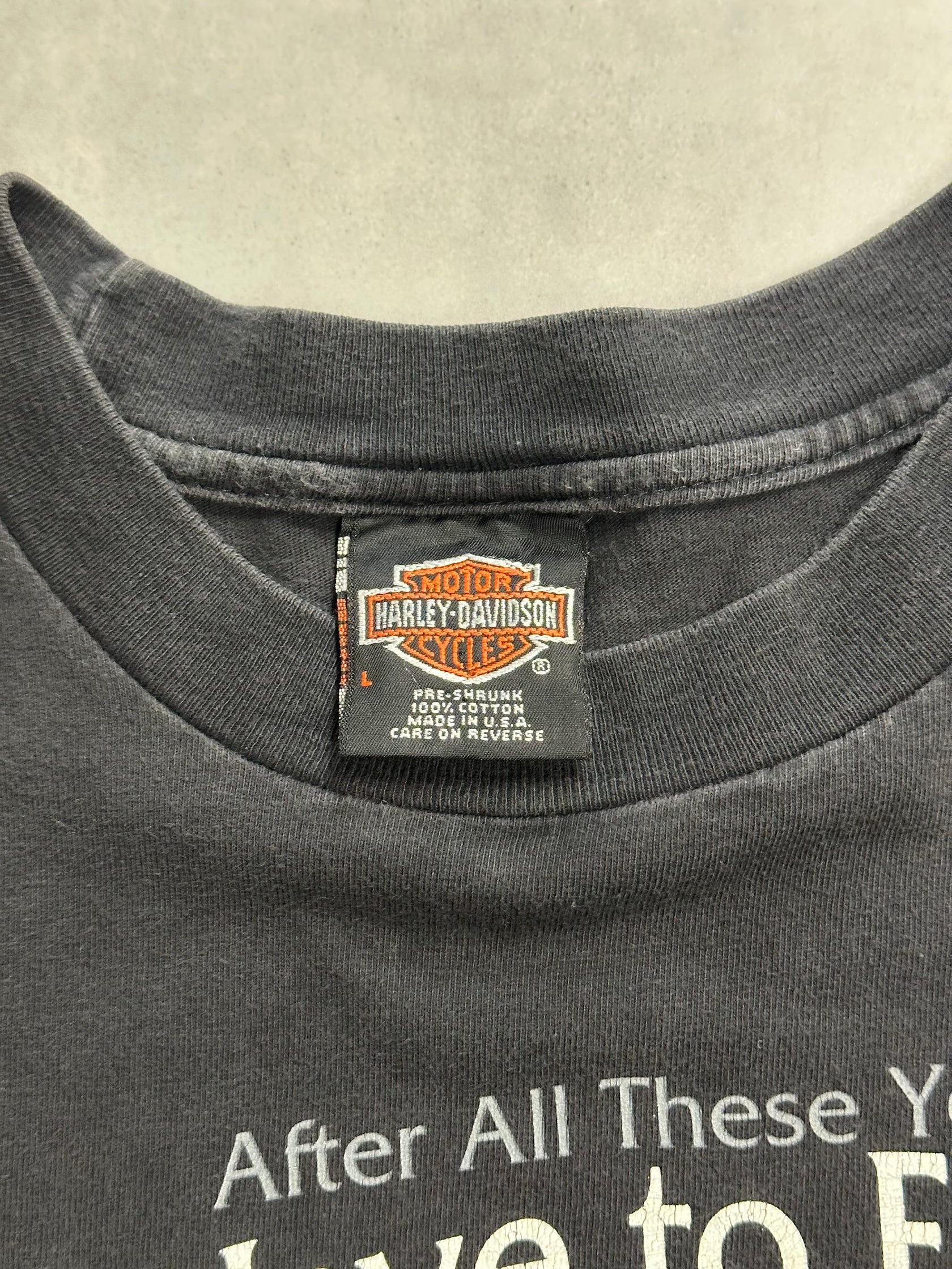 90's HALREY-DABIDSON「If I Have to Explain」ハーレーTシャツ