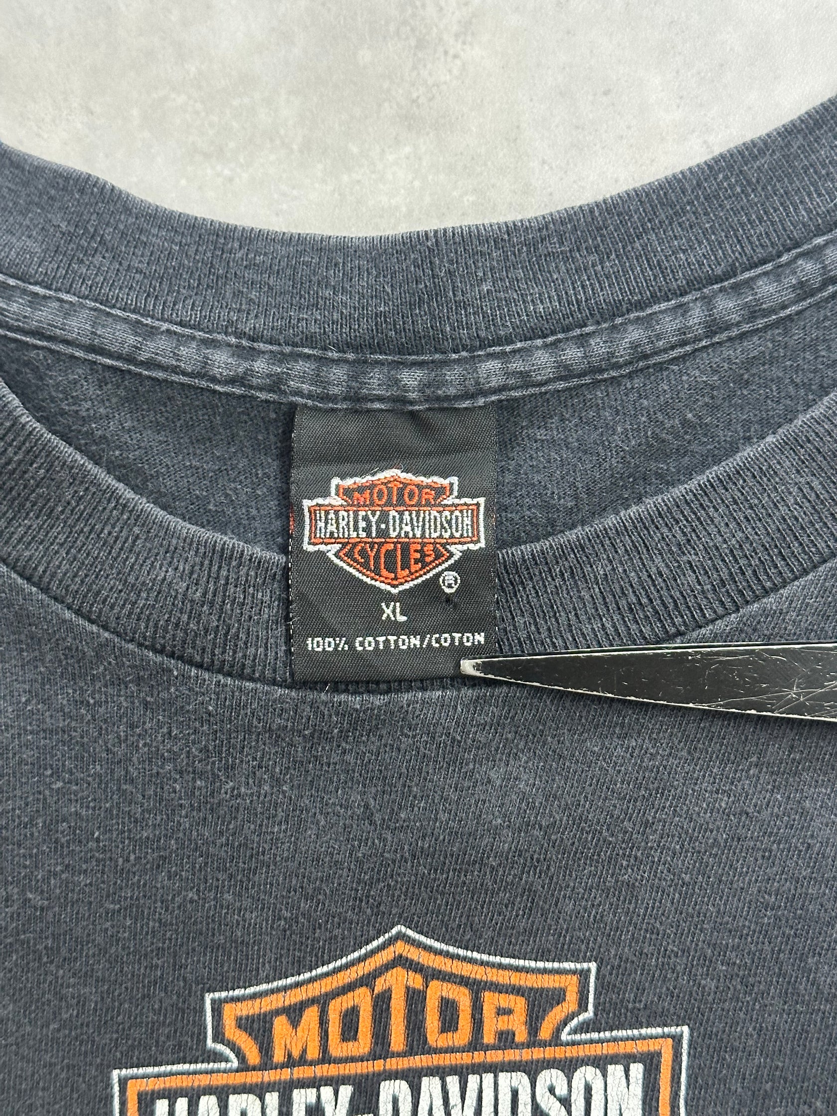 00’s HARLEY-DAVIDSON「Eagle」ハーレーダビッドソンTシャツ