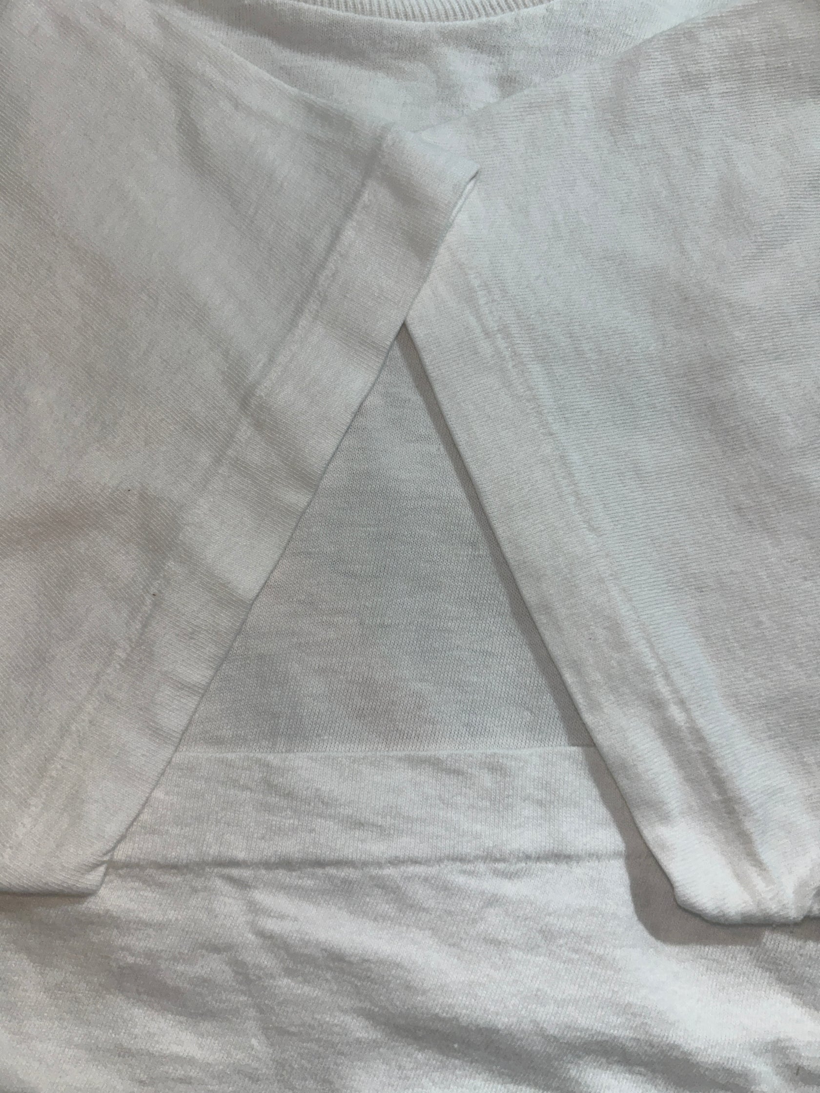 00's Apple「BLUE BUSTERS」企業Tシャツ