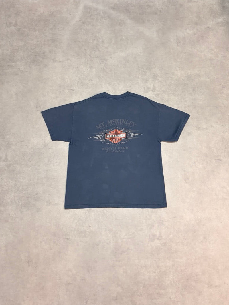 90's HARLEY-DAVIDSON「鷲柄」USA製 ハーレーTシャツ