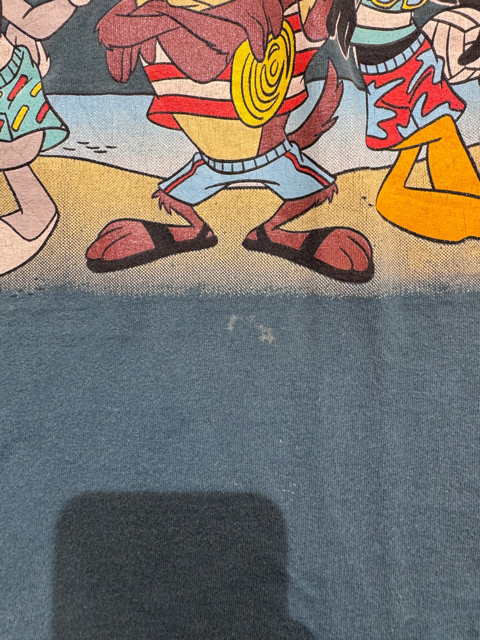 90’s LOONEY TUNES 「Wisconsin Dells」USA製 キャラクターTシャツ