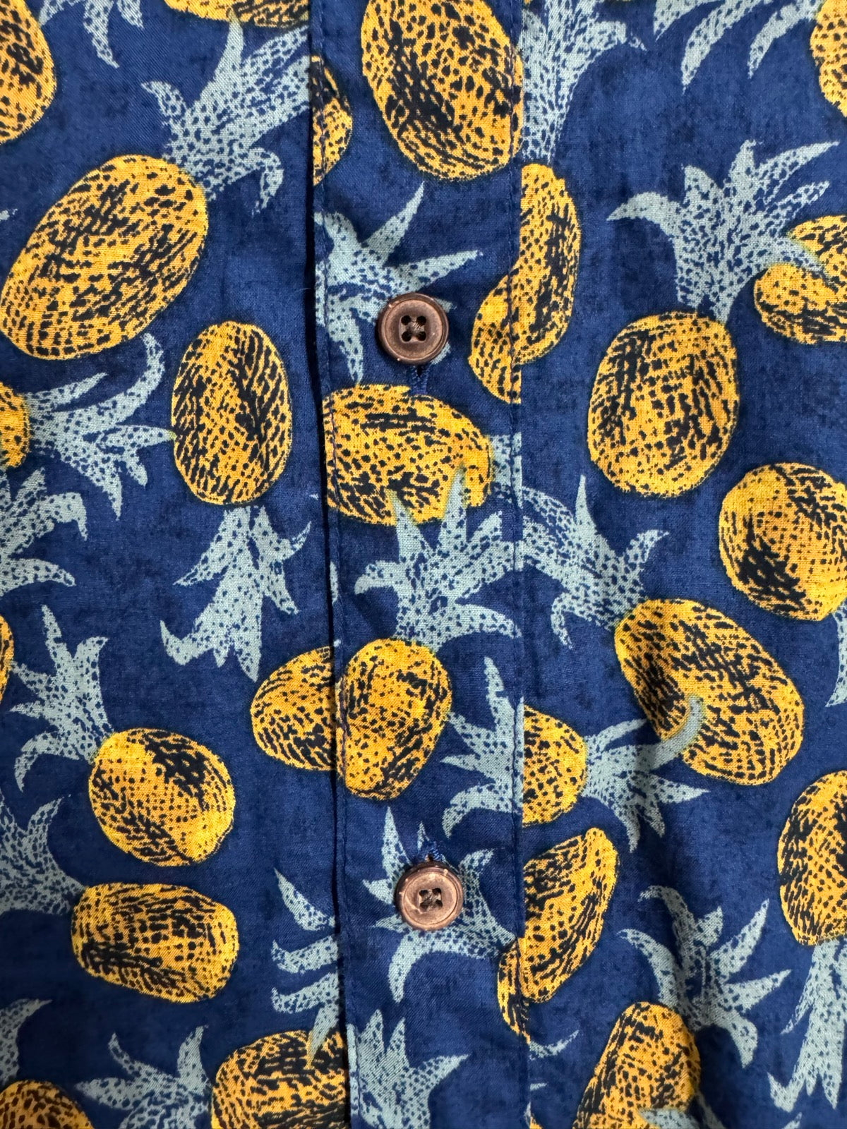 00's PATAGONIA「Pataloha」パイナップル柄 アロハシャツ