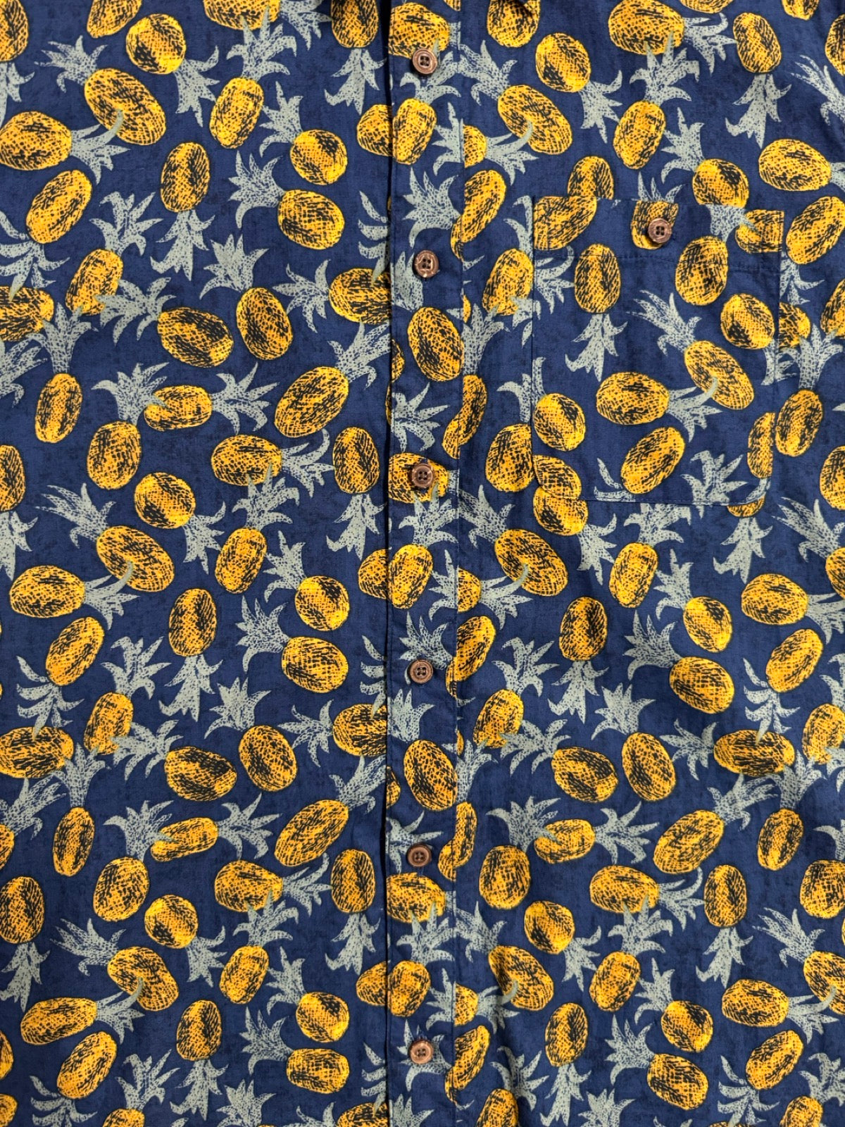 00's PATAGONIA「Pataloha」パイナップル柄 アロハシャツ – FUJI STORE