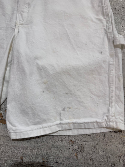 00’s DICKIES 「SHERWIN-WILLIAMS」ショーツ