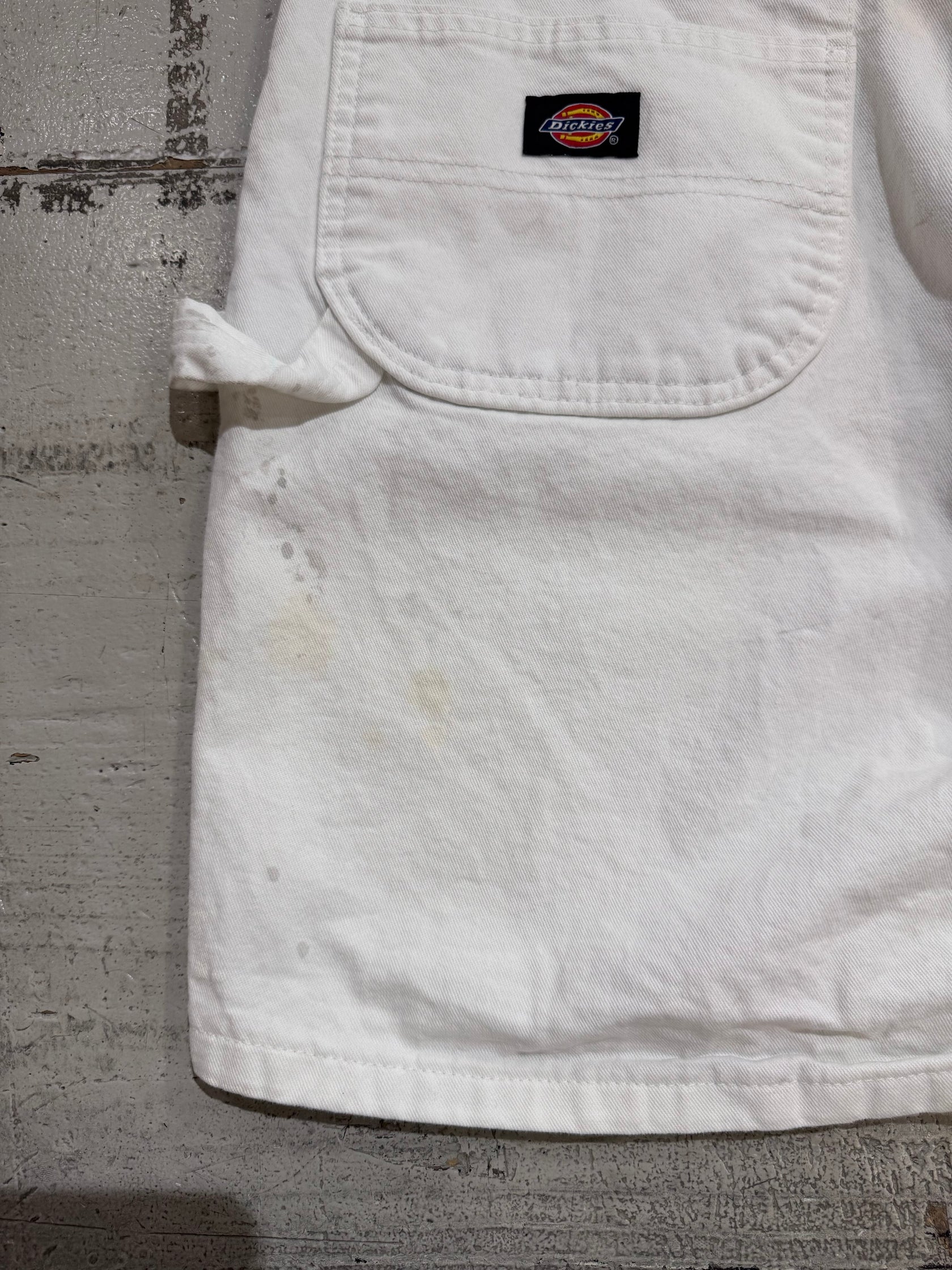 00’s DICKIES 「SHERWIN-WILLIAMS」ショーツ