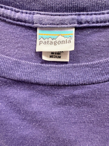 90's PATAGONIA USA製　Tシャツ