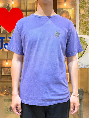 90's PATAGONIA USA製　Tシャツ