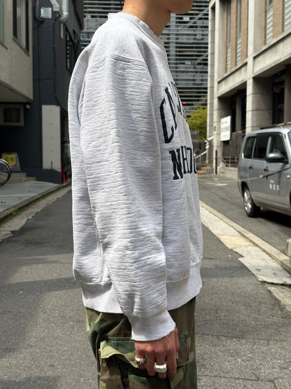 90's RUSSELL PRO Cotton” CAL STATE NORTHRIDGE”USA製 スウェット