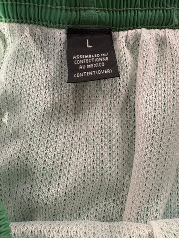 00's PATAGONIA「BAGGIES SHORTS Light Green」ナイロンショーツ