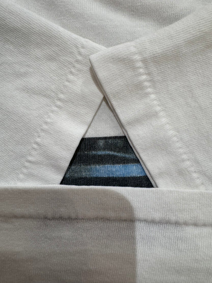 90’s ROGER WATERS 「IN THE FLESH」バンドTシャツ
