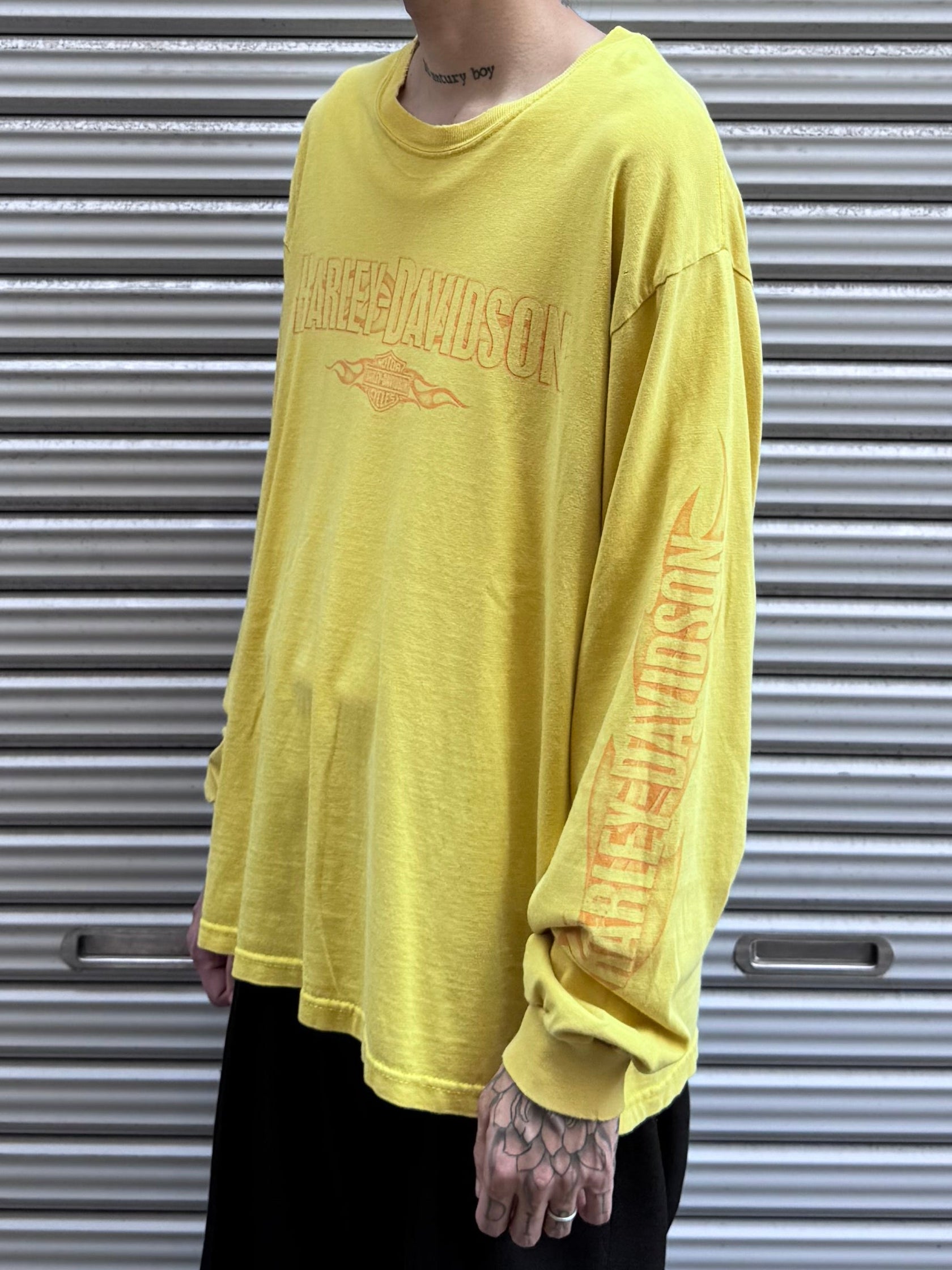 00's Harley Davidson 「HAMILTON」ハーレーTシャツ