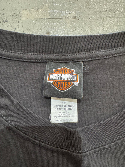 00's Harley Davidson「Fire Pattern」ハーレーTシャツ