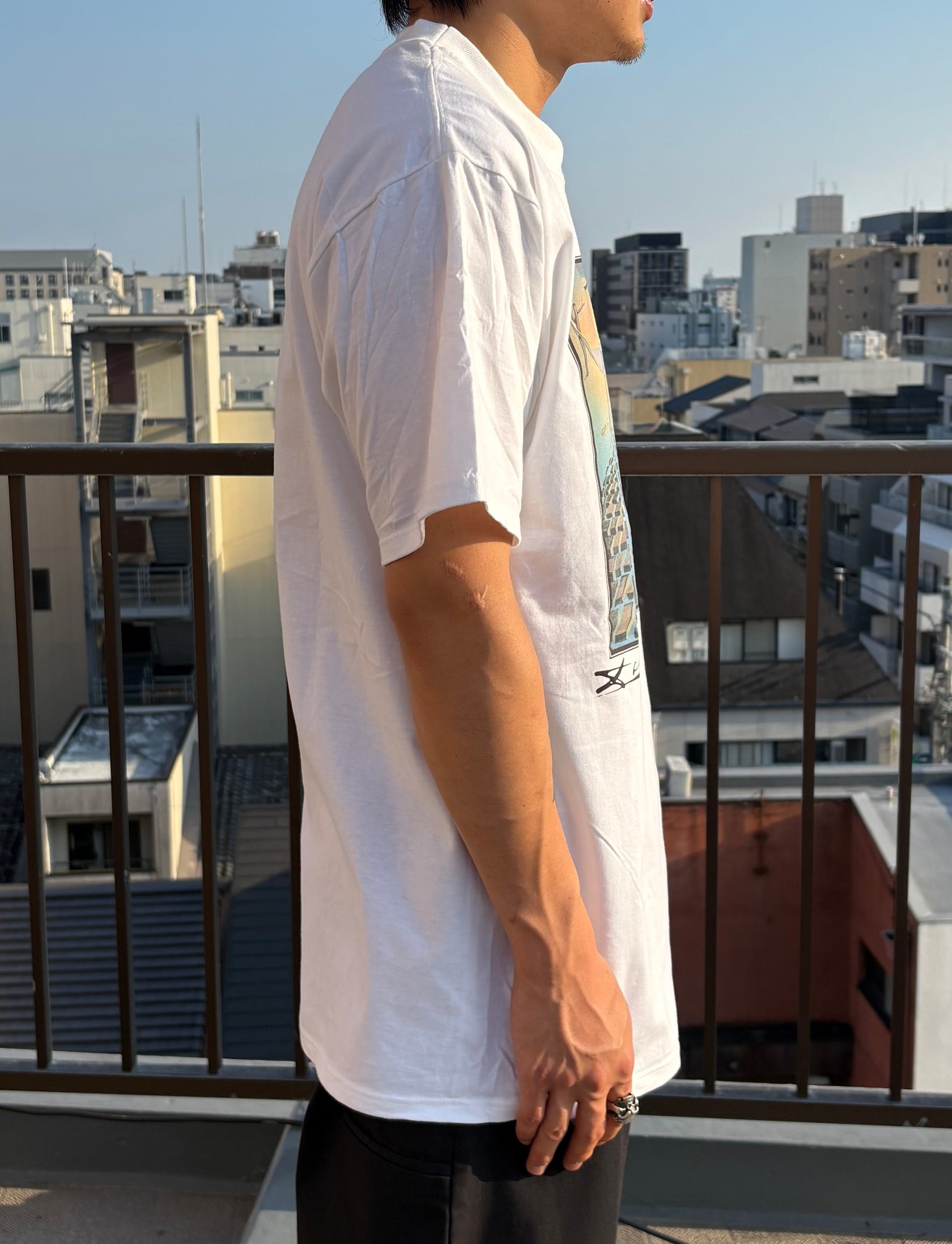 90's 「Dali Disintegration of the Persistence of Memory」アートTシャツ