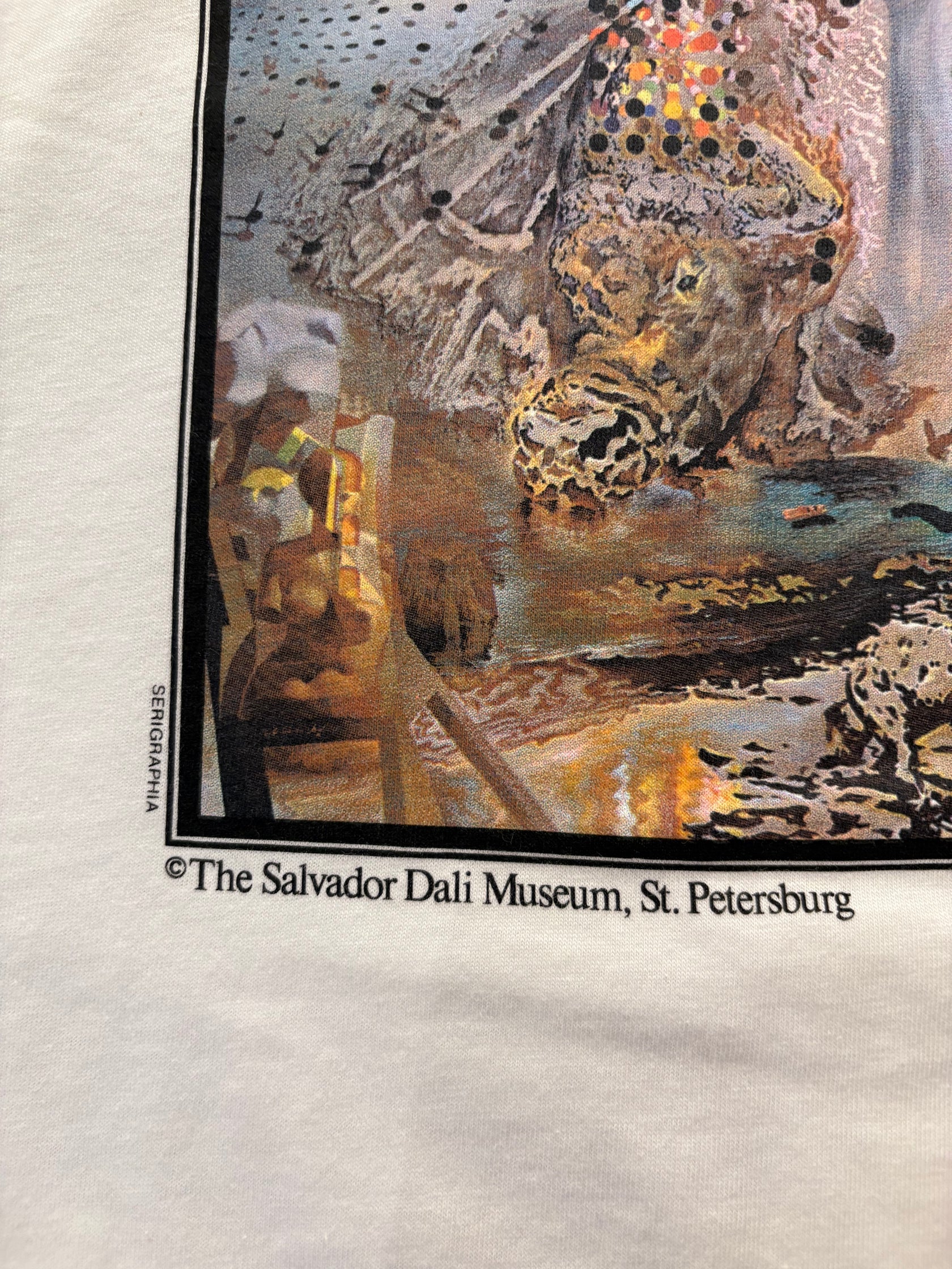 90's 「Dali The Hallucinogenic Toreador」アートTシャツ