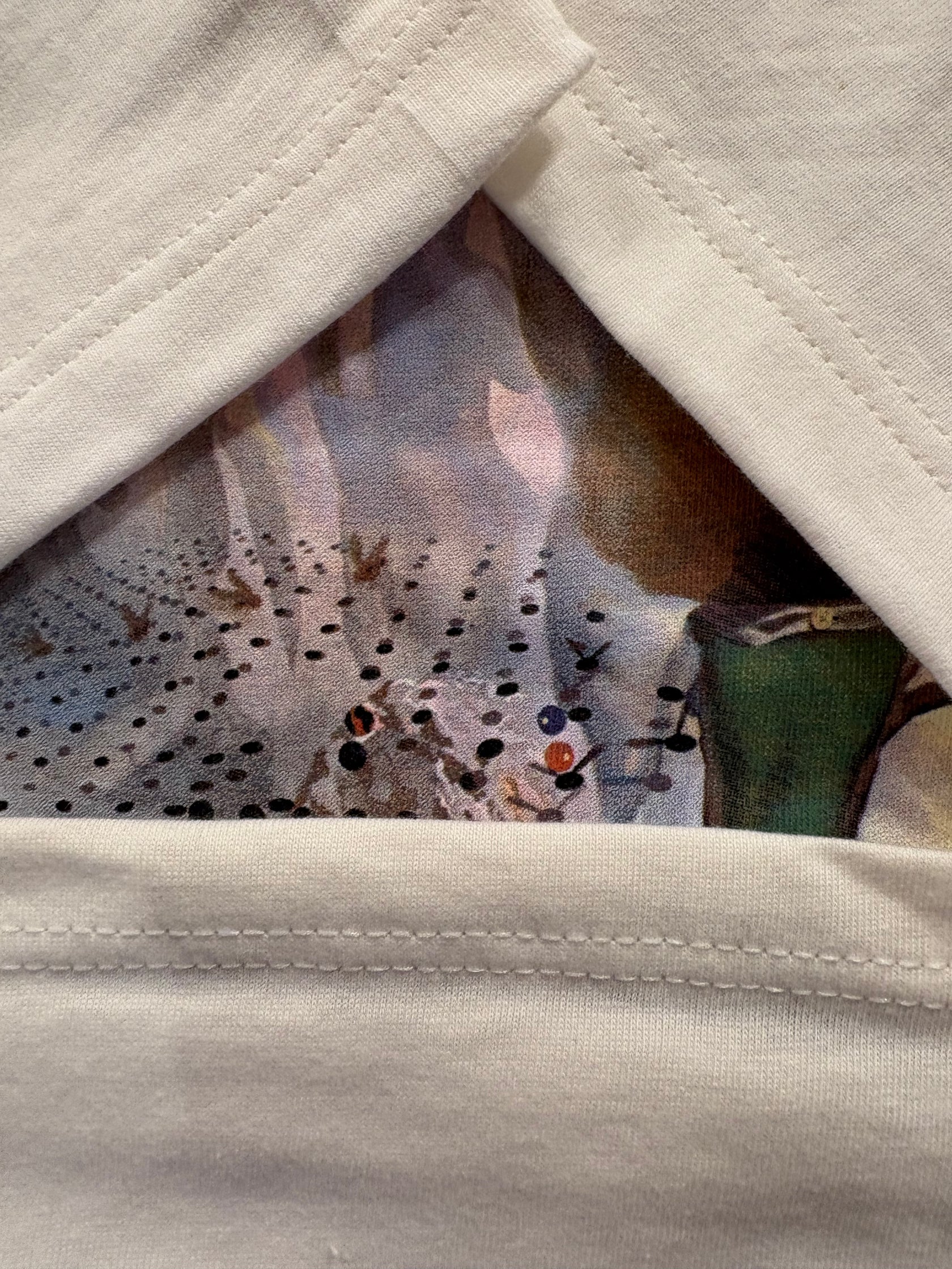 90's 「Dali The Hallucinogenic Toreador」アートTシャツ