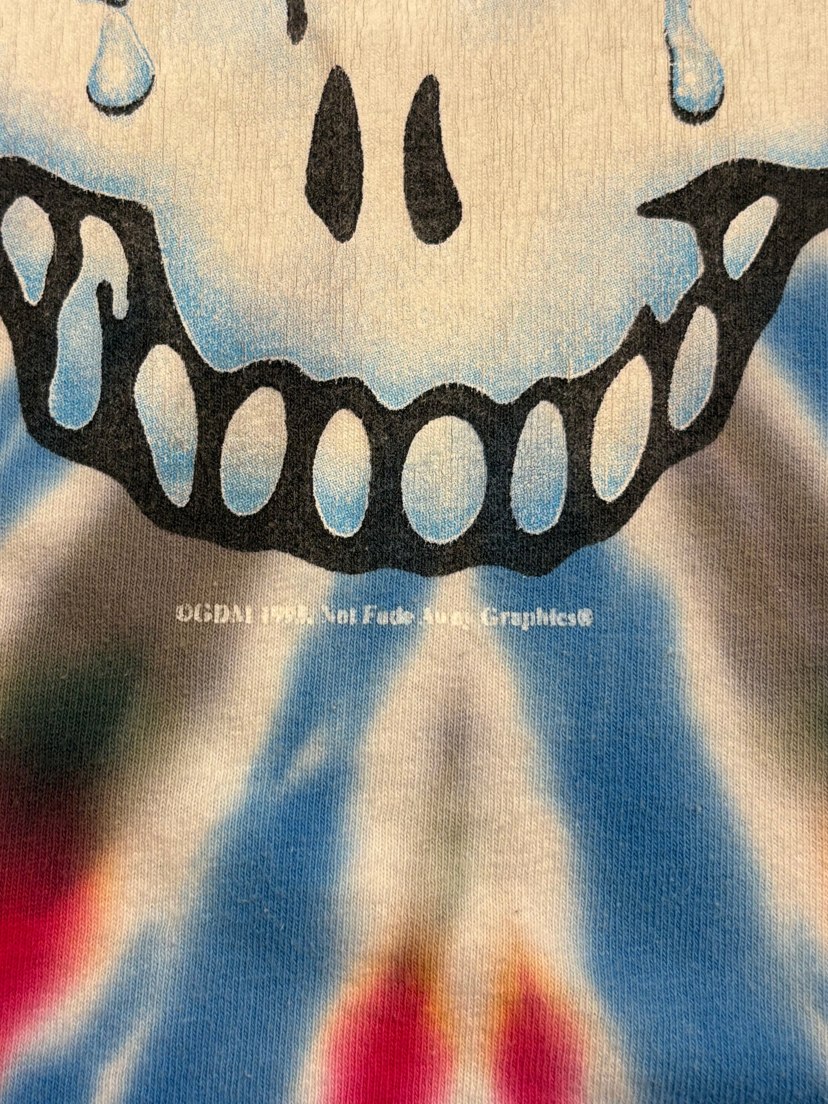 90’s GRATEHUL DEAD 「Fare Thee Well」タイダイバンドTシャツ