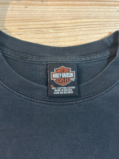 00's HARLEY-DAVIDSON 「Fire Pattern」ハーレーTシャツ