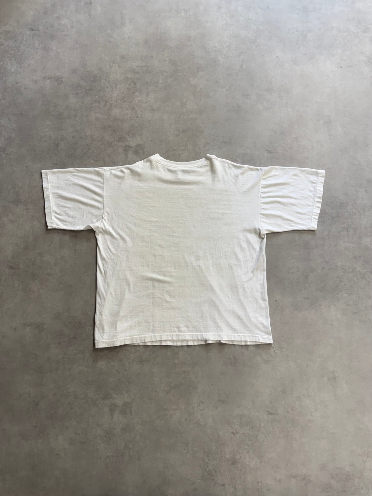 90's VINCENT VAN GOGH「IRIS」アートTシャツ
