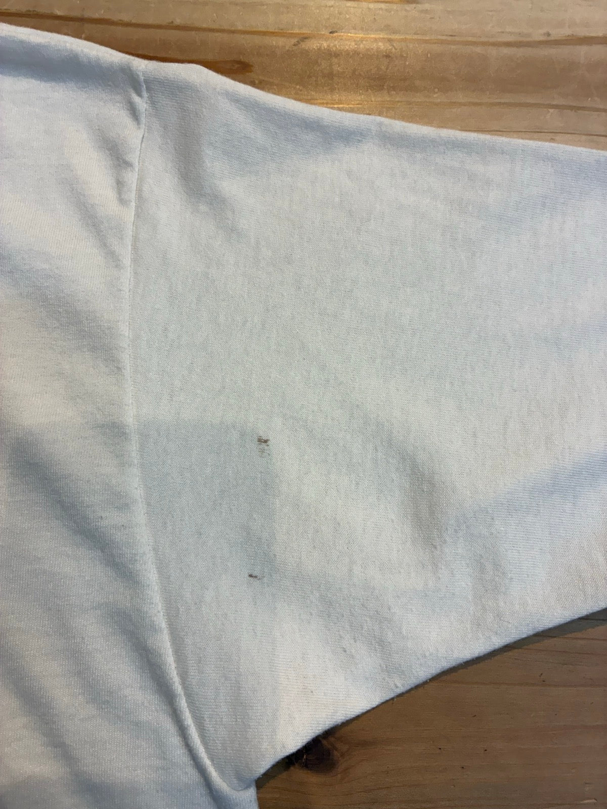 90's クロード・モネ「Artist’s Garden at Vétheuil」USA製　アートTシャツ