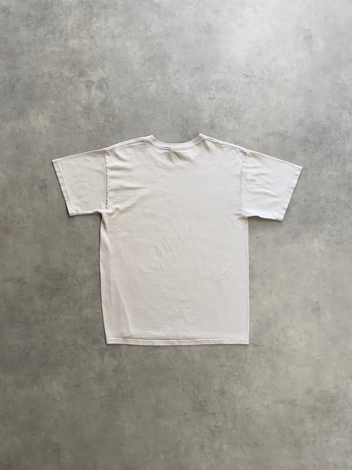 00's LED ZEPPELIN「Icarus」バンドTシャツ