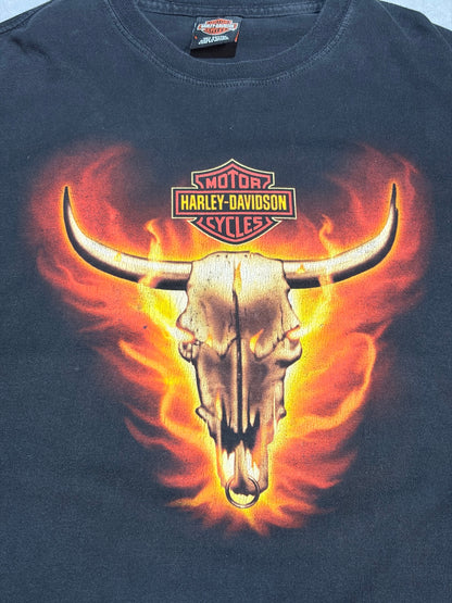 00's HARLEY-DAVIDSON ハーレーTシャツ