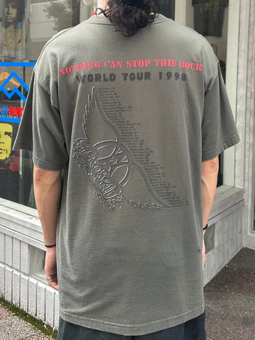 90's AEROSMITH「NOTHING CAN STOP THIS ROCK」バンドTシャツ