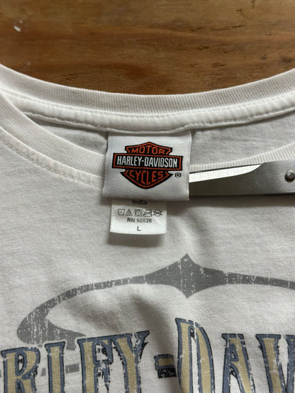 00's HARLEY-DAVIDSON 「AEHAVE」ハーレーTシャツ　