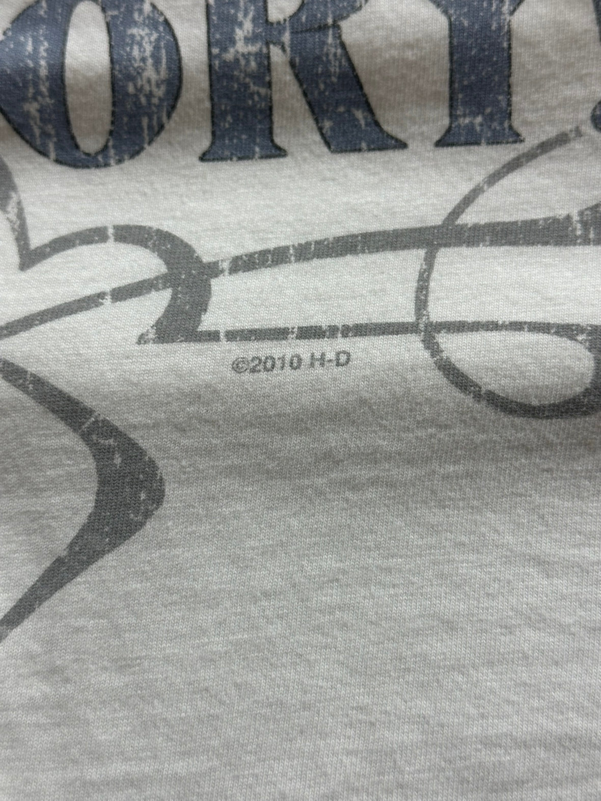 00's HARLEY-DAVIDSON 「AEHAVE」ハーレーTシャツ　