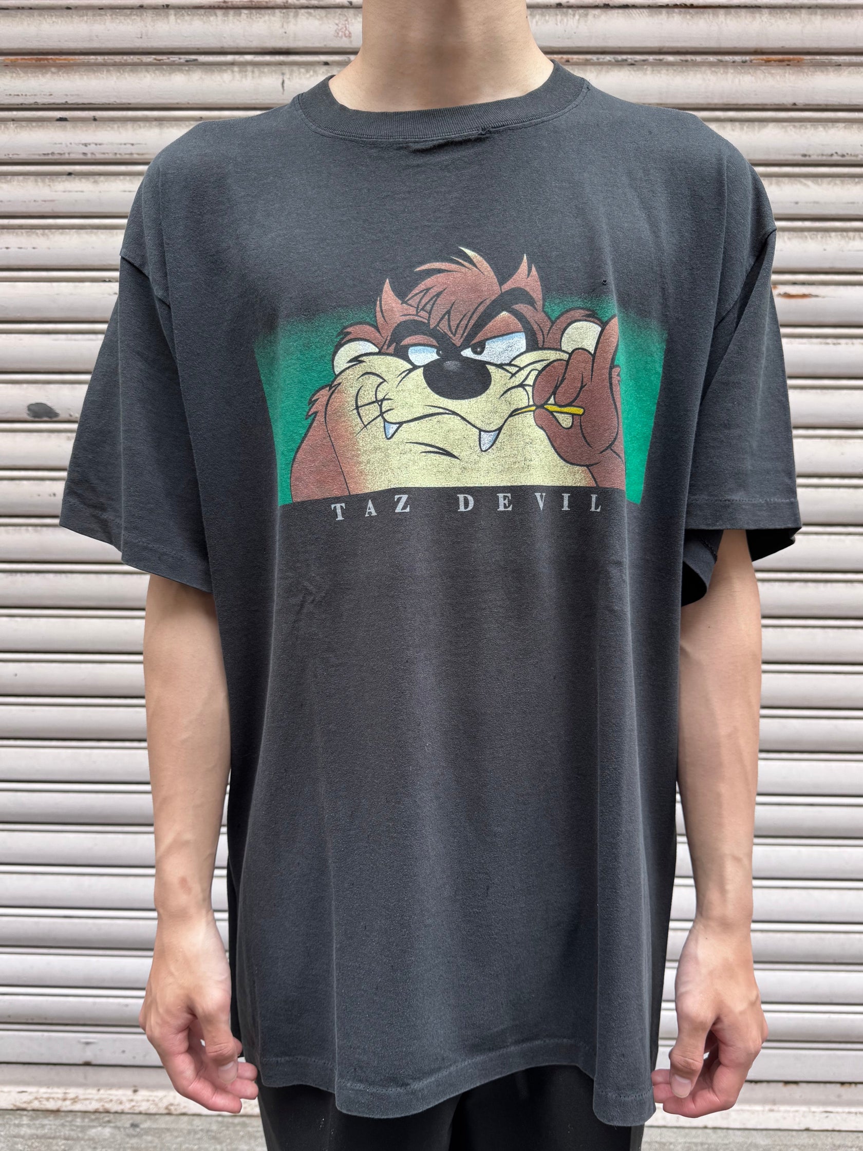 90's WARNER BROS.「TAZ DEVIL」キャラクターTシャツ USA製