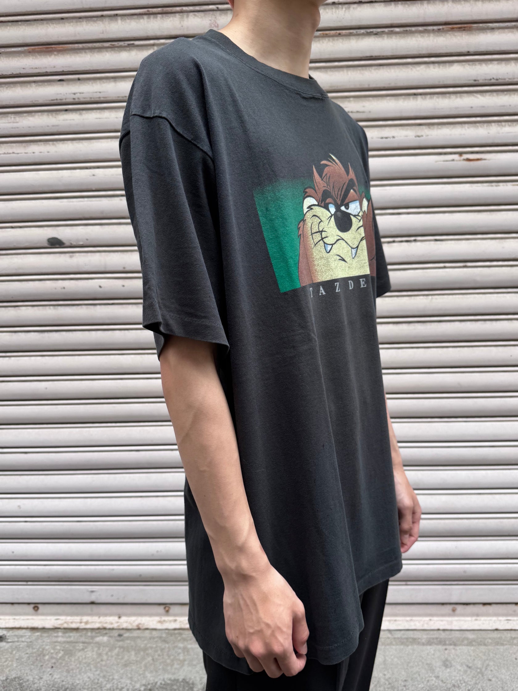 90's WARNER BROS.「TAZ DEVIL」キャラクターTシャツ USA製