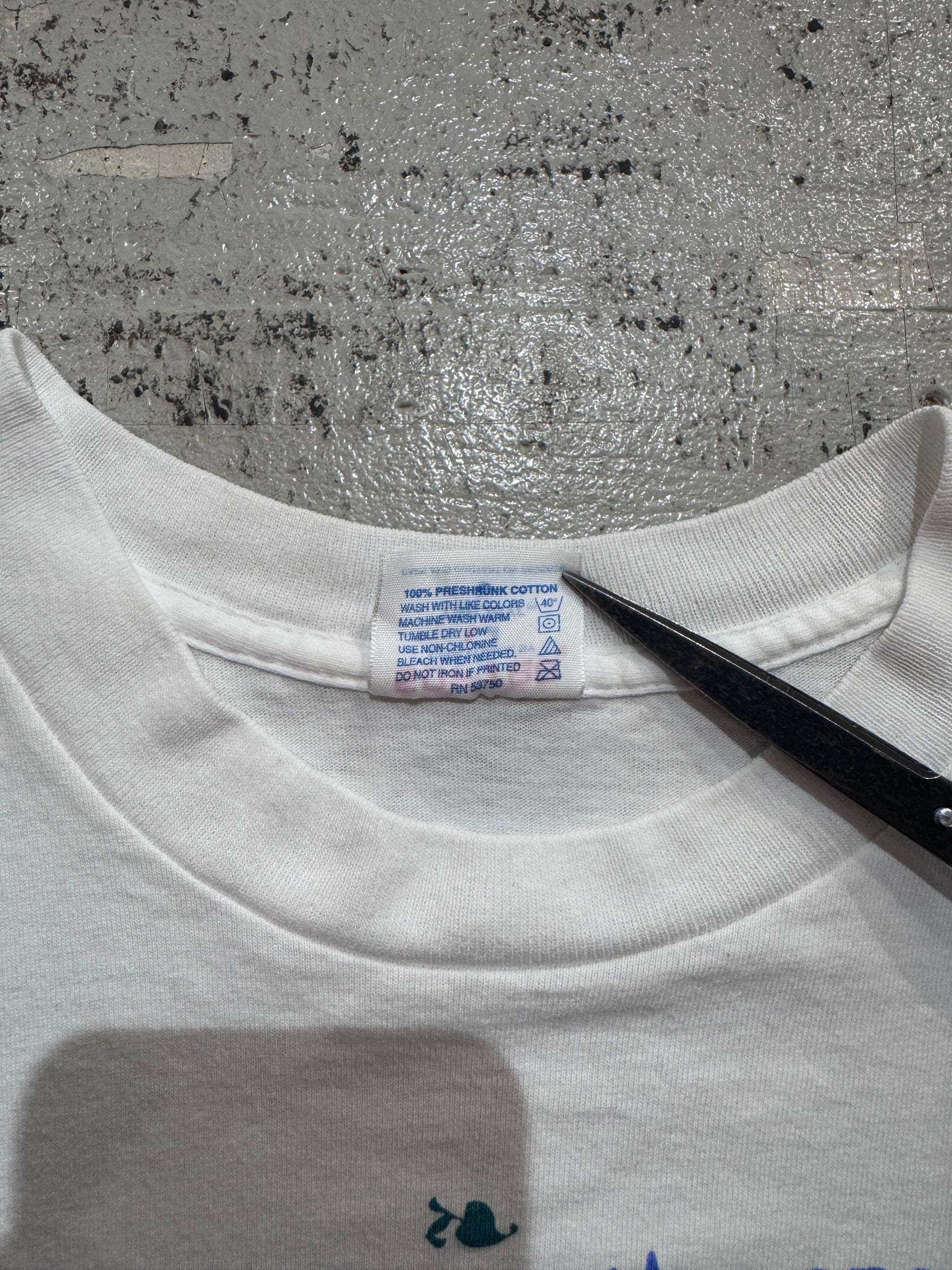90's「His eyes are on the sparrow」USA製 アートTシャツ