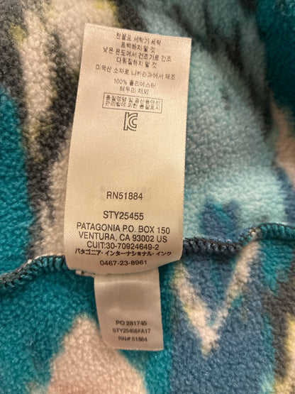 10's PATAGONIA「SYNCHILLA Snap-T 」フリースプルオーバー