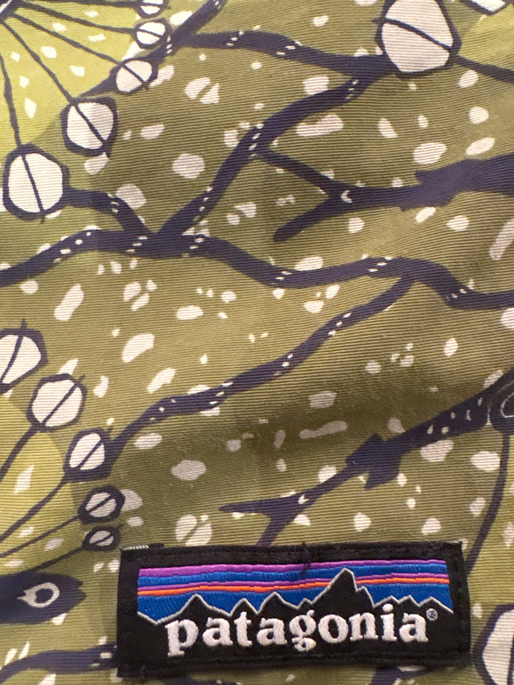 00's PATAGONIA「BAGGIES SHORTS Flying Fish」ナイロンショーツ