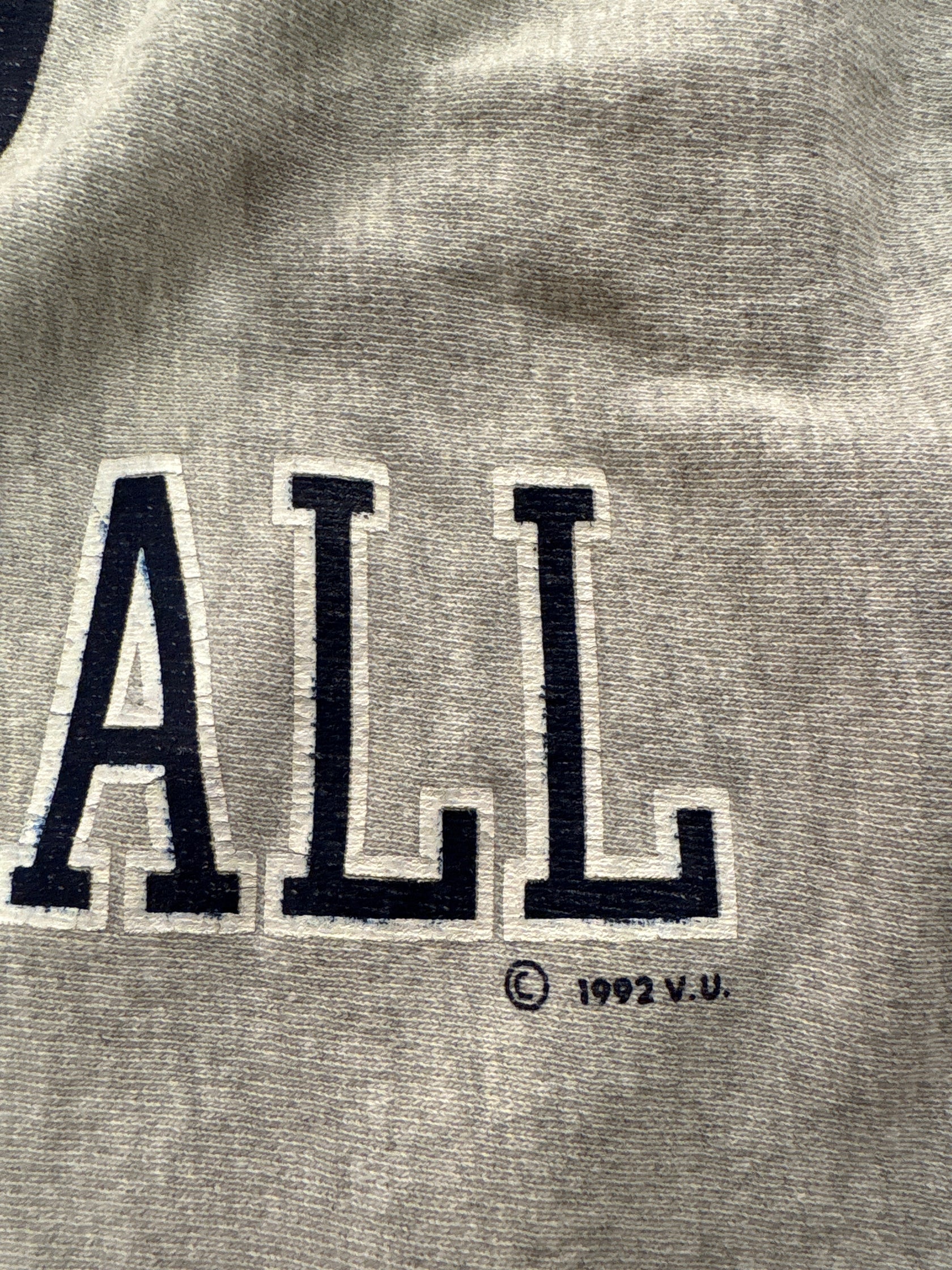 90‘s CHAMPION REVERSE WEAVE「VILLANOVA BASKETBALL」USA製 スウェット
