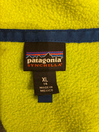 10's PATAGONIA「SYNCHILLA Snap-T 」フリースプルオーバー