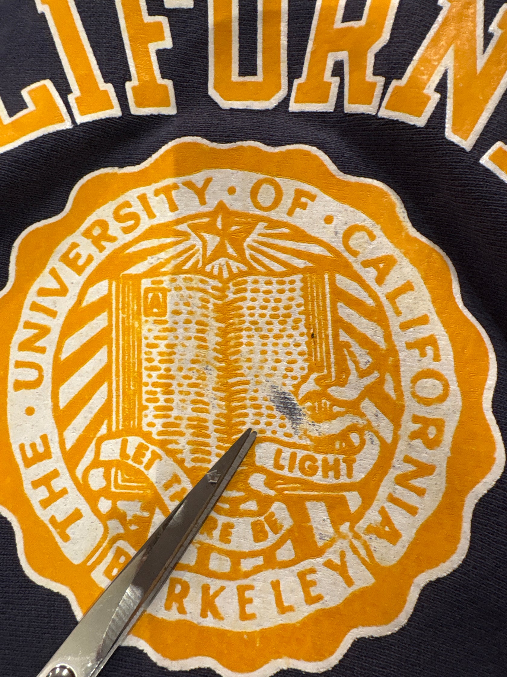 90‘s CHAMPION REVERSE WEAVE「CALIFORNIA BERKELEY」USA製 スウェットパーカー