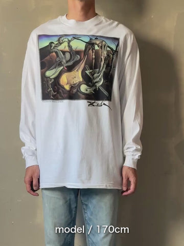 90's「夜のメクラグモ、希望」USA製 アートTシャツ